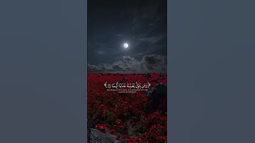 اكتب شيء تؤجر عليه ❤ القارئ ياسر الدوسري 🌷#قران_كريم #quran #كرومات_شاشه_سوداء #ارح_سمعك