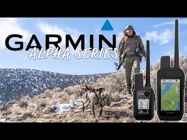 Breaking Down the Garmin Alpha Dog Tracker and Collar Series