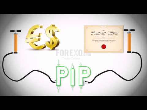 რა არის პიპი? (What is PIP?)