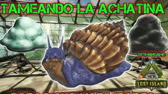 Achatina Ark Ragnarok Location Achatina - Youtube