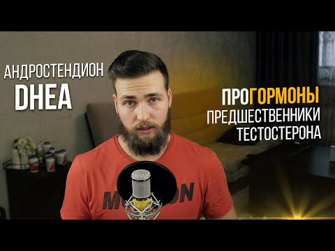 Повышение Тестостерона / Прогормоны (ДГЭА, Андростендион)