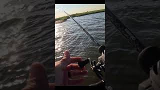 Sure-Fire Redfish Pattern