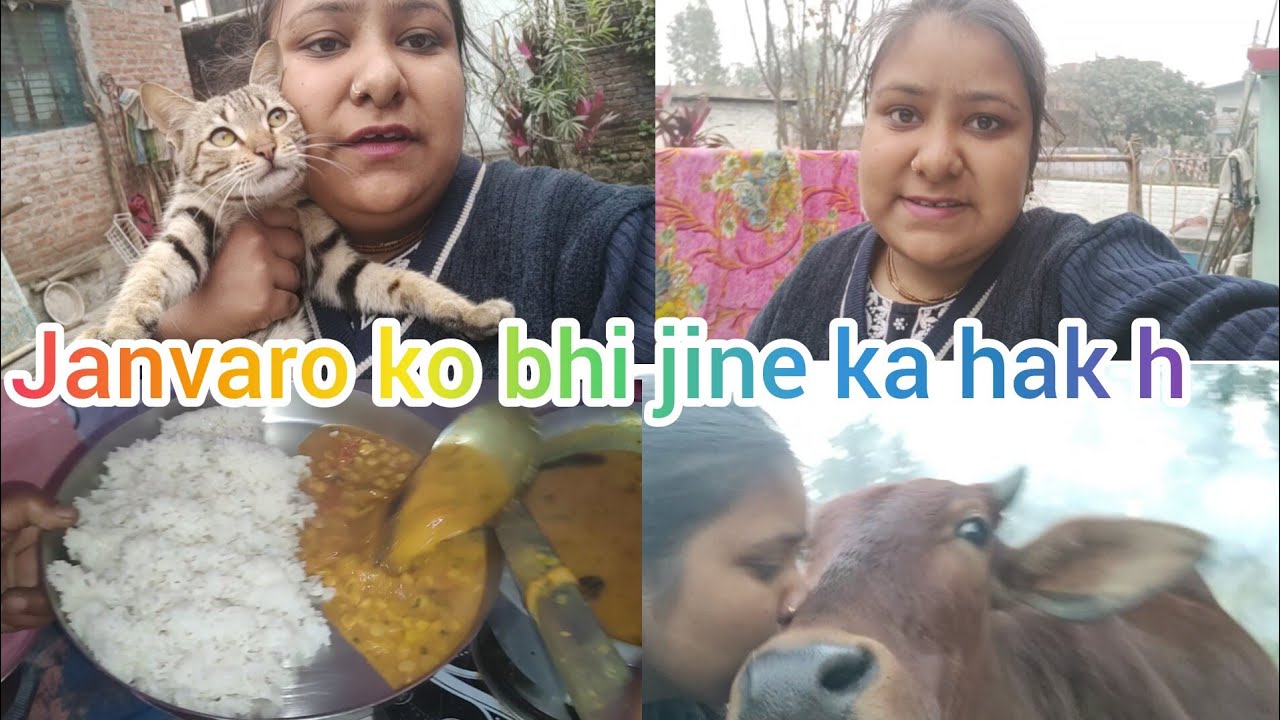 Janvaro ko bhi jine ka hak h (daily vlogs)♥️🙏