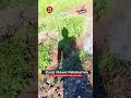 Elazığ Ulukent Mahallesi’nde Su Patlağı! Sokakta Yoğun Su Akışı