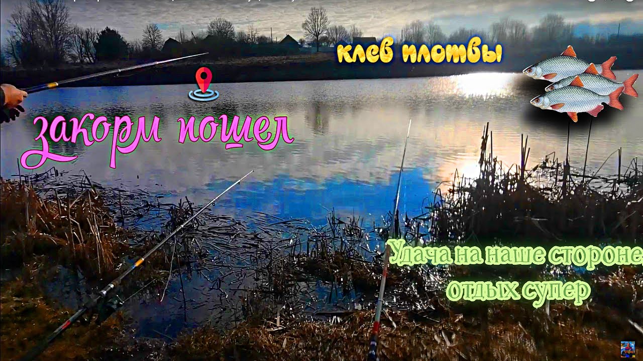 Весна 2023. Первая рыбалка плотвы, поклевки и выпущенный улов. 