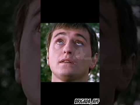 Я вырос там ,где мусора не в почете ! С.Безруков #безруков #сашабелый #бригада #кино