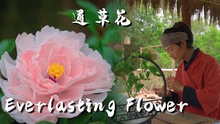 Reviving the Ancient Everlasting Flower - Chinese Peony with Wood, as Stunning as the Real Thing