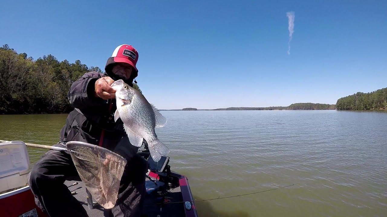Crappie Sniping Watching Them Bite On Live Scope YouTube