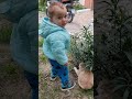 kedi saklandı #youtubeshorts #funny #viral #endcard #kedivideoları