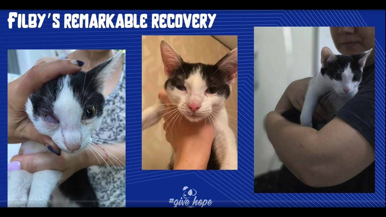 Filby’s remarkable recovery