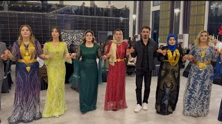 Şeğmuse Erbani Dara Salonu Kızıltepe Aşiret Düğünü Halay