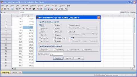 4.6 Post Hoc Test ANOVA: PASW (SPSS) Statistics v.17 video