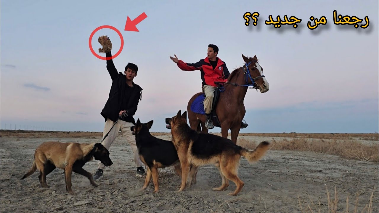 أول مرة نطلع رحلة مع صلبوخ !! روك يعلم كلبي زورو على الصيد والهجوم 😦🔥