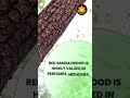 Sai Properties &amp; Projects Ltd | Red Sandalwood Farmlands!