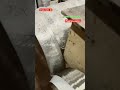 AISI 304. Продукция на отпуск.