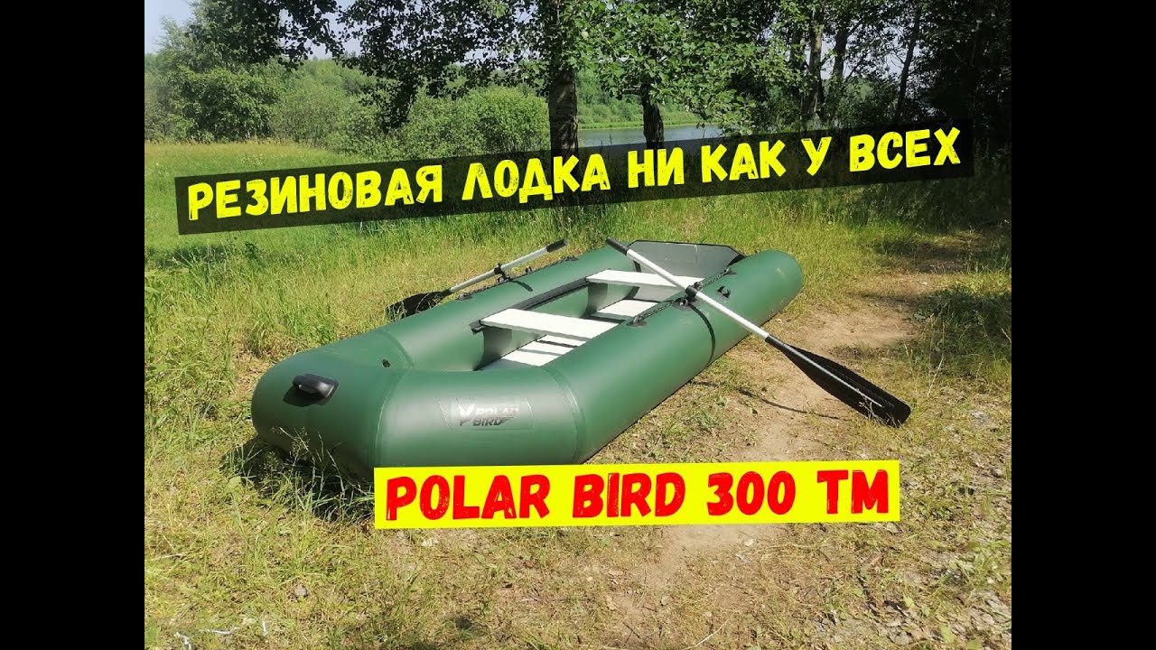 Резиновая лодка под мотор \ POLAR BIRD 300 ТМ («ЧИРОК»)