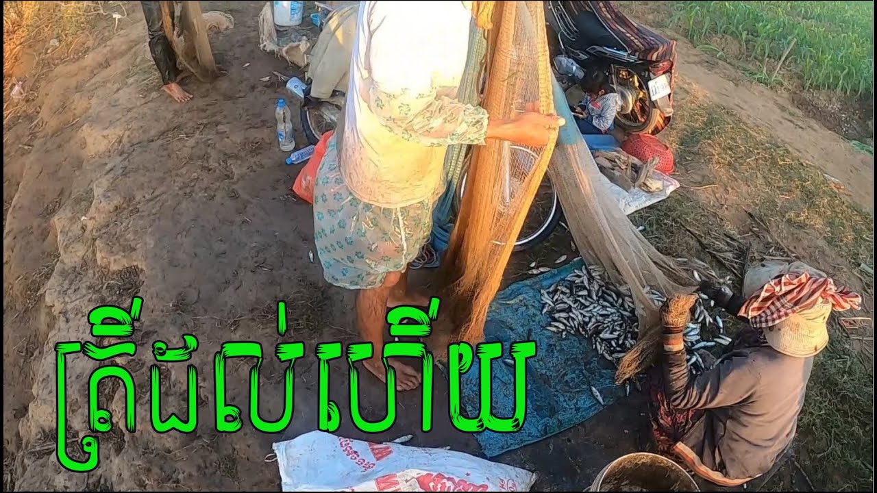 Lots of fish ever Best FISHing 2024 Amazing Cast Net Fishing 472
