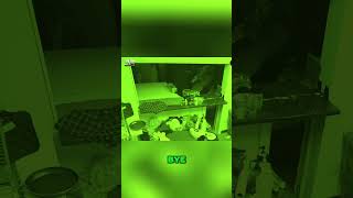 He Stole Sleeping Bags for REVENGE! You Won't Believe What Happens Next #shorts