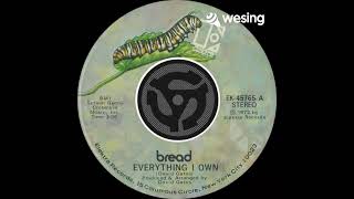 Everything I Own(45 Version)