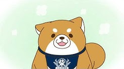 忠犬もちしば Mochishiba Channel Youtube