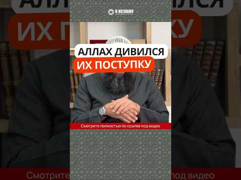 99.2 Аллах дивился их поступку #Shorts Ринат Абу Мухаммад