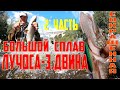 Большой сплав Лучоса  - З. ДВИНА - 2 Часть_СОКРАЩЕННАЯ