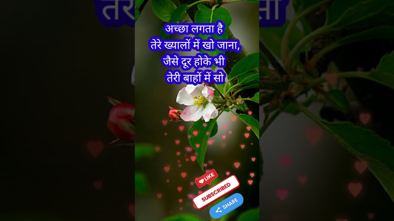 sacha pyar♥️ true love | shayari| best shayar| love shayari | love quotes