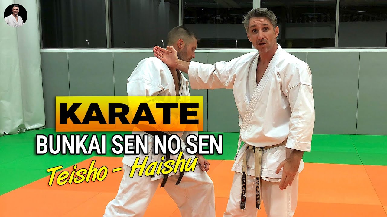 BUNKAI Sen No Sen ? Avec Haishu  et Teisho 