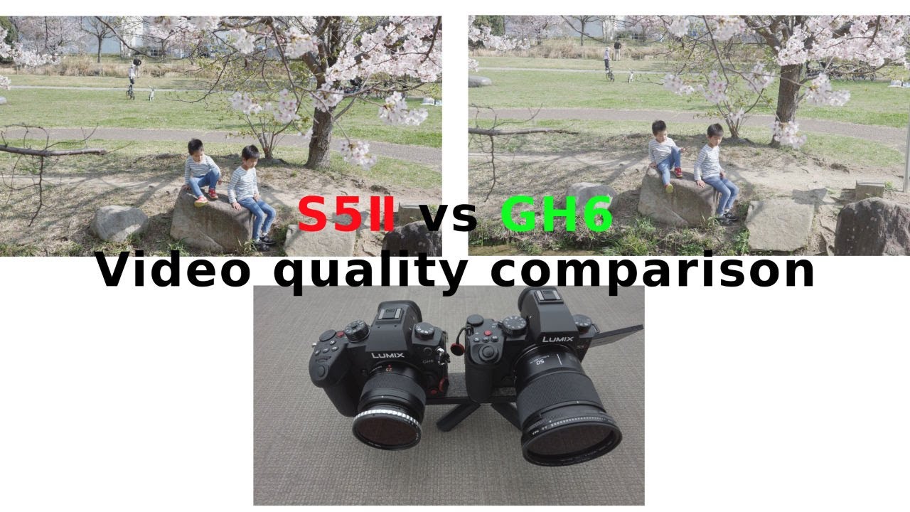 S5Ⅱ vs GH6 Video quality comparison Part2 YouTube