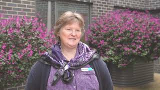 Meet the Team at Bupa Templestowe aged care