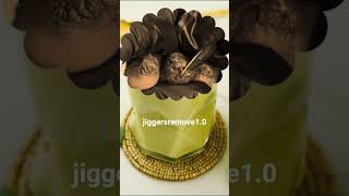 ahhhhhhh๐ฑ๐ฑ #satisfying #jiggers #removal #shortvideo