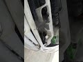 overheating problem in car #RNMCDAS#shortsvideo            #viral #video