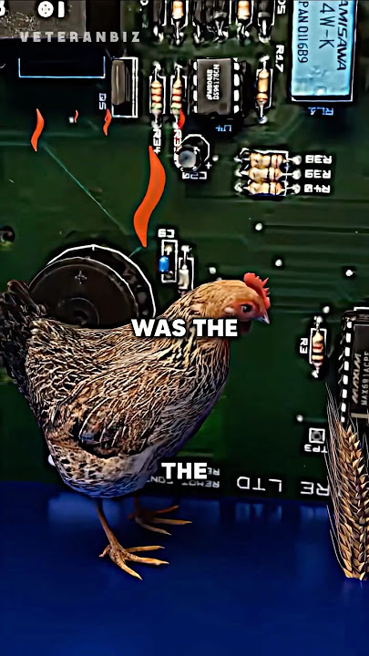 The CHICKEN landmine 😂