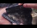 ASMR Scalp Care and Scratching Sounds for Better Sleep #1009