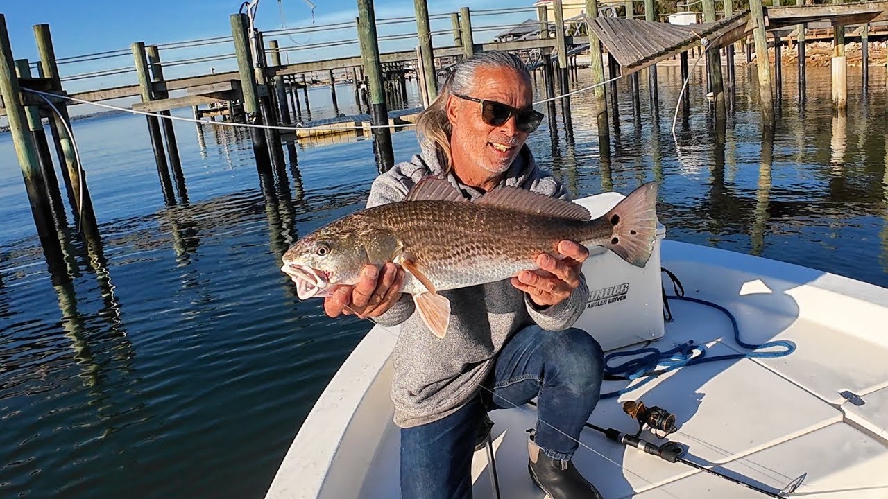 🎣 Inshore Redfish & Black Drum Fishing Jacksonville, Florida