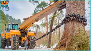 200 AMAZING Fastest Big Tree Removal Bulldozers Working At Another Level