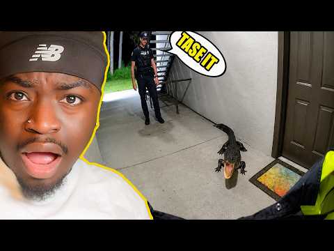 Florida Cops Face Off Against Angry Gator.... THE MOST FLORIDIAN VIDEO EVER