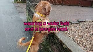 A lead walking secret