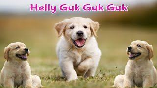 Heli Guk Guk Guk | Anjing Kecil Lucu Berlari Lari | Lagu Anak Indonesia
