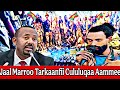 29 7 2025 Tarkaanfii Cululuqaa Jaal Marroo Guyyaa Har Aa Bilxiginnaa Oromiyaa 29 7 2025 Tarkaanfii Cululuqaa Jaal Marroo Guyyaa Har Aa Bilxiginnaa Oromiyaa