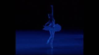 La muerte del Cisne -Maya Plisetskaya y Ballet Imperial Ruso