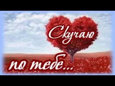 Шлю тебе привет вечерний, и тепло своей души!
