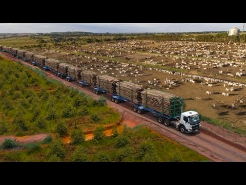 CONHEA O NOVO MAIOR CAMINHO DO BRASIL - O incrvel HEXATREM!