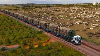 CONHEÇA O NOVO MAIOR CAMINHÃO DO BRASIL - O incrível HEXATREM!