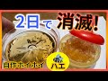 【2日でコバエが消滅した方法教えます】コバエホイホイは買うな！ 最強コバエ対策！【麺つゆ・お酢で最強自作ホイホイ】