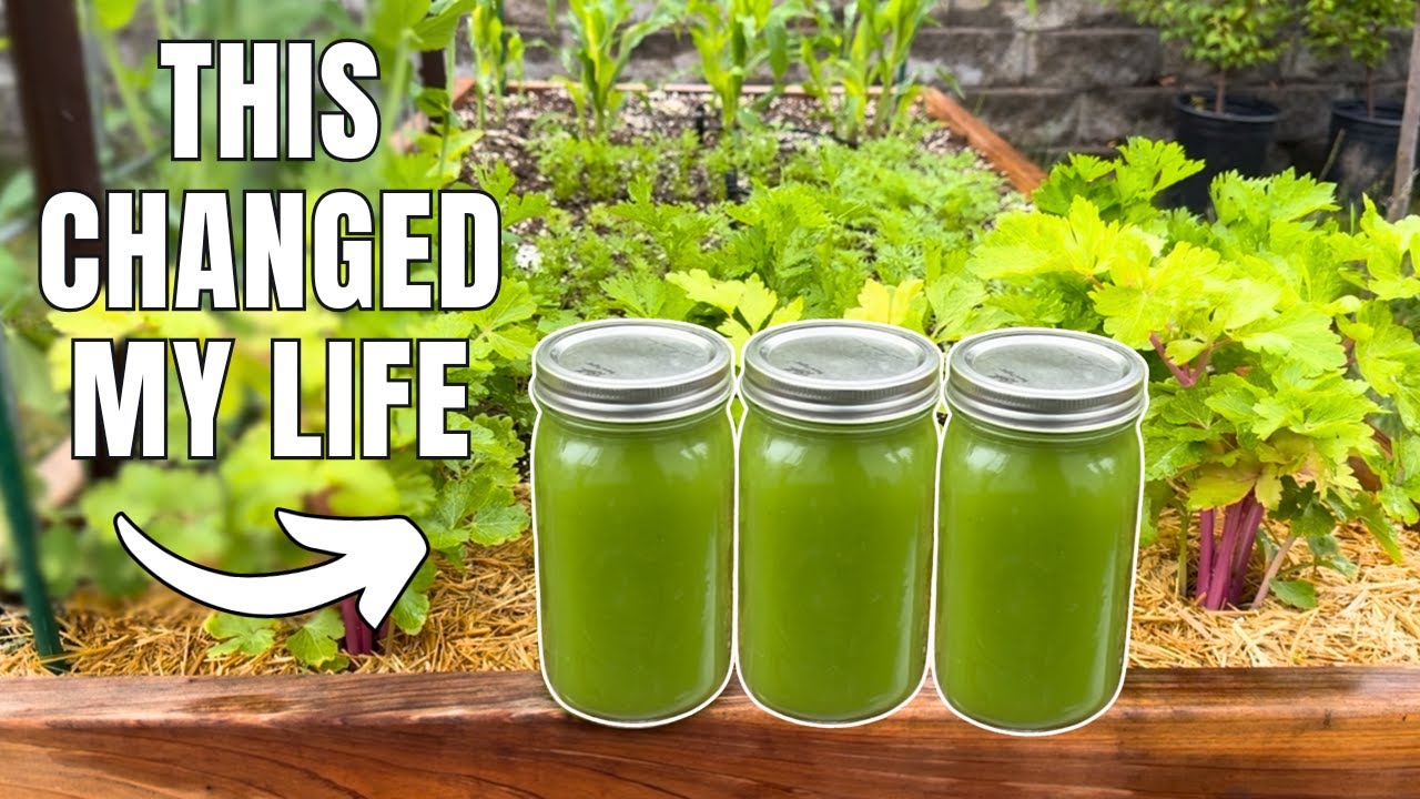 The Power of CELERY JUICE | Unexpected Benefits and My Personal Story