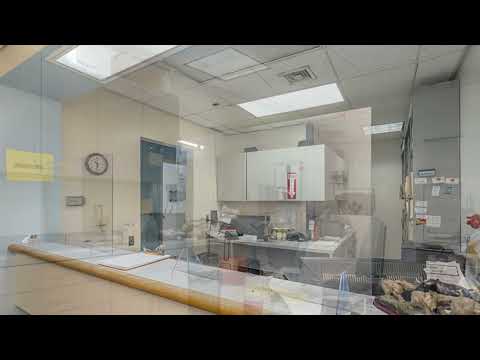 305 Second Avenue, Gramercy Park, NY home video tour