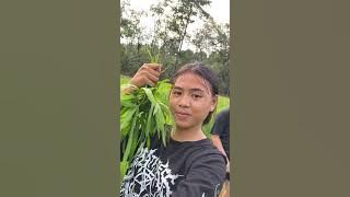 Part 2 || hari ke-3 mancing #kalimantanbarat #gadisdayak #minivlog #dayakkalbar #mancing 
