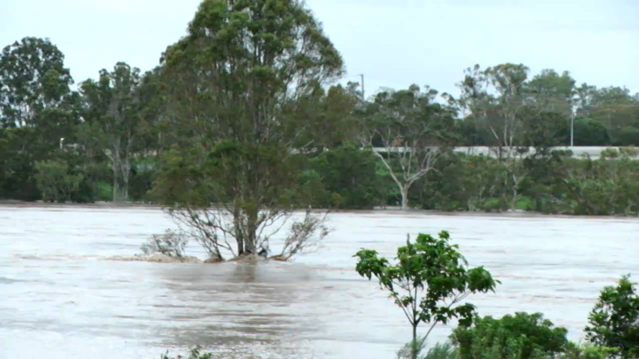 Moggil Ferry 2011 Floods