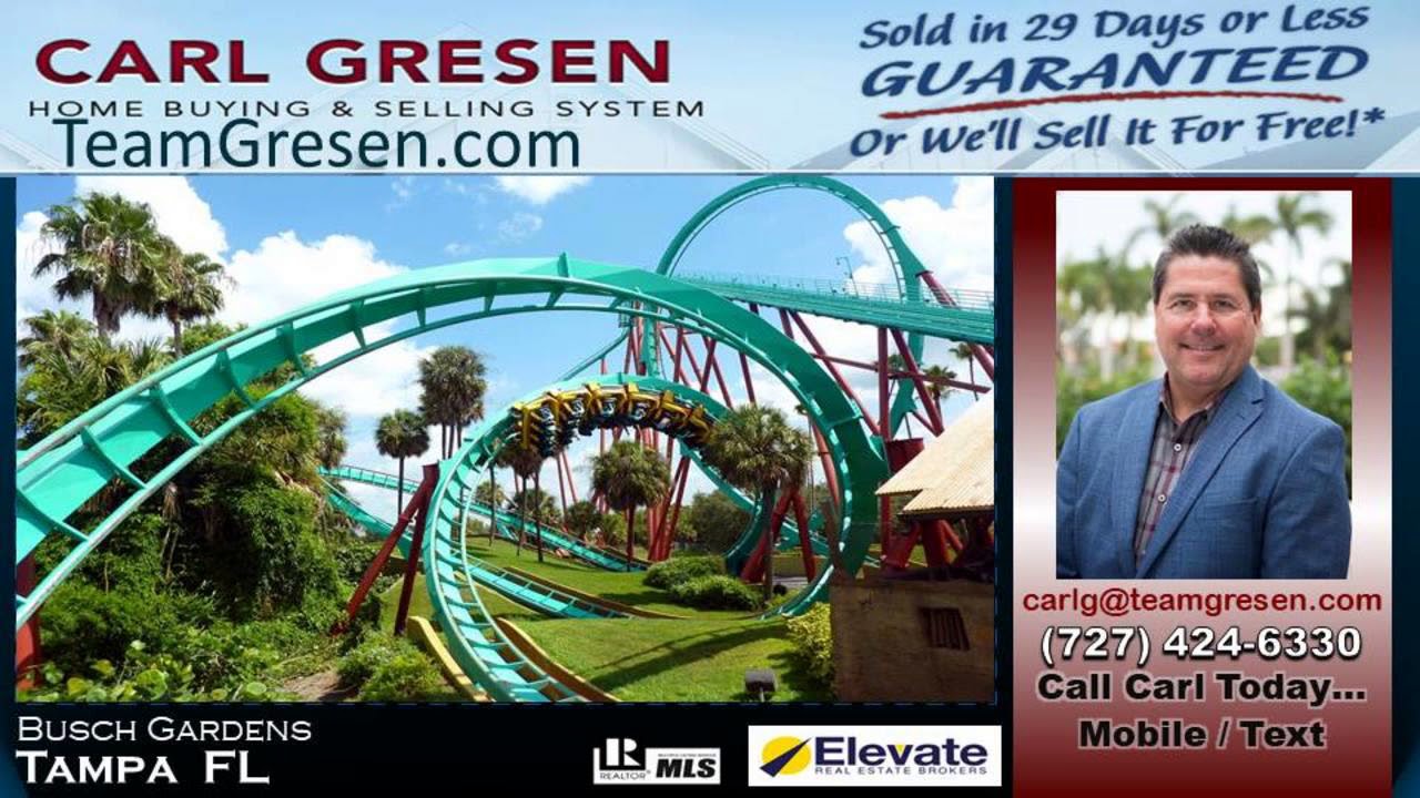 Top 1 Sales Agent in Tampa, Florida 33609